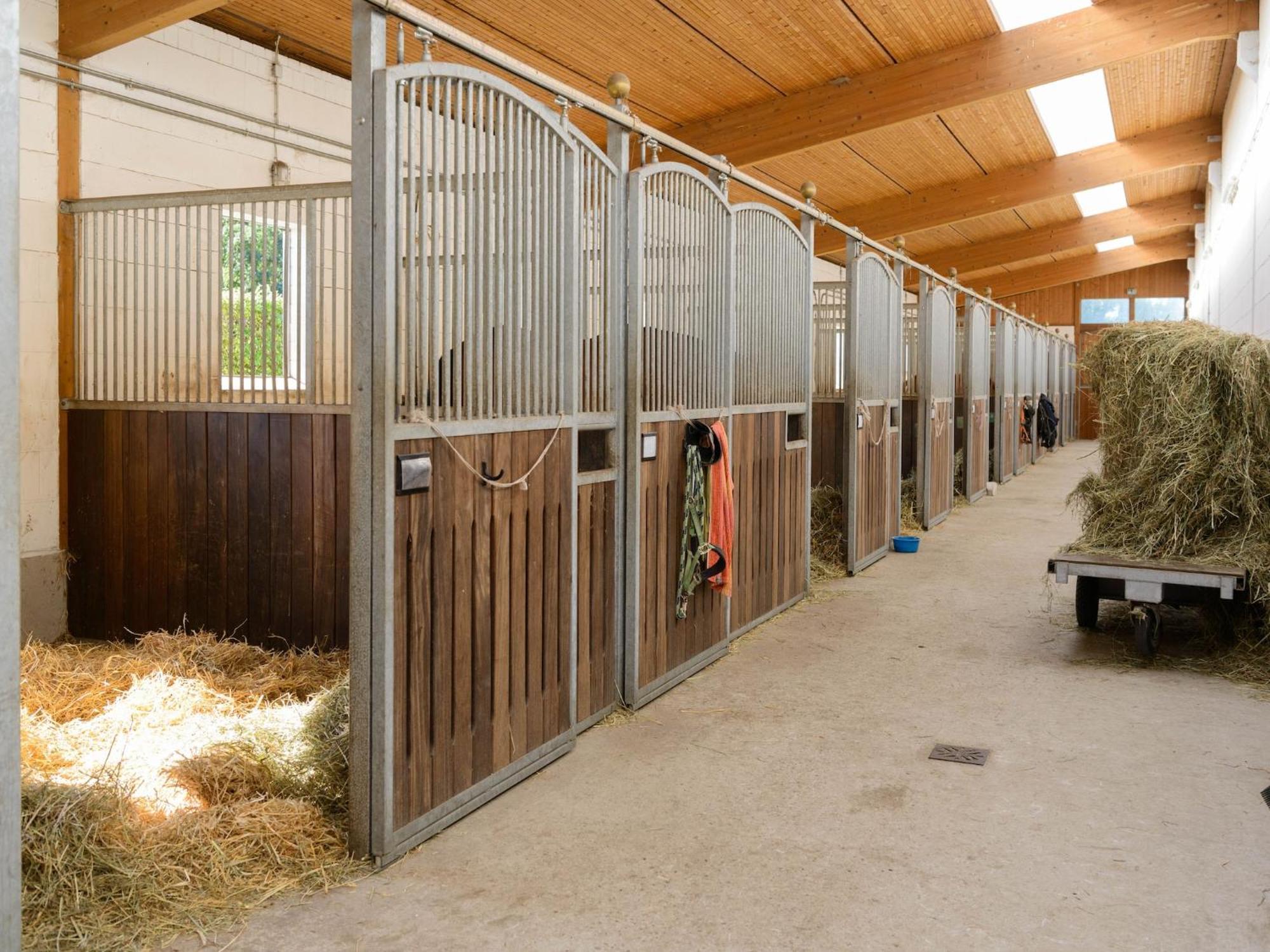 Cozy Holiday Home On A Horse Farm In The L Neburg Heath Eschede Exterior foto